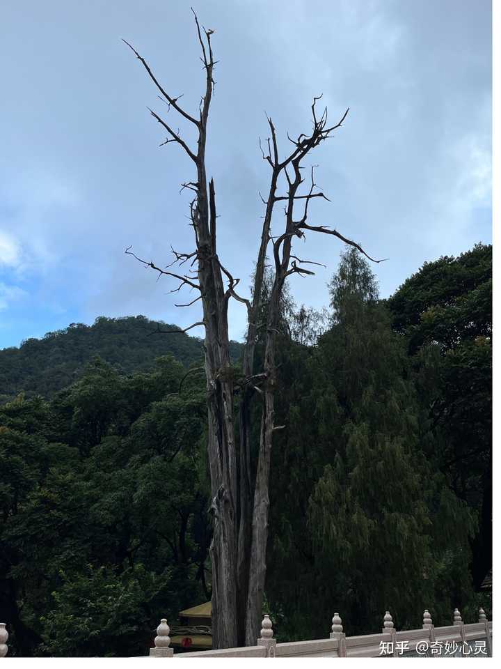 梅州时空_梅州天气_梅州