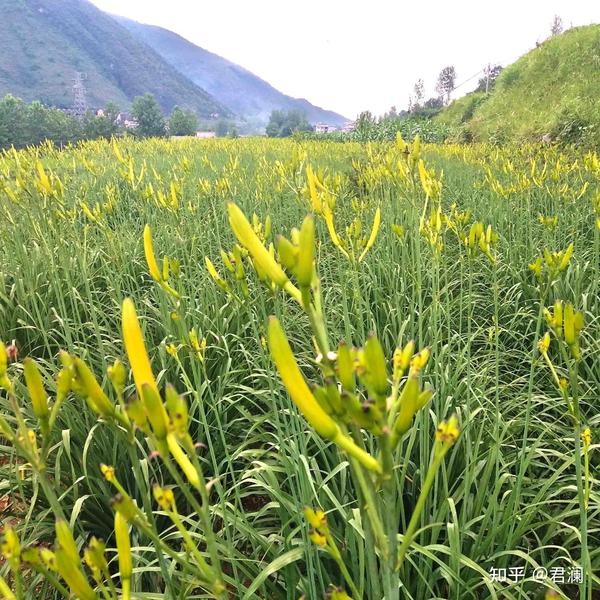 庆阳人事_庆阳旅游_庆阳