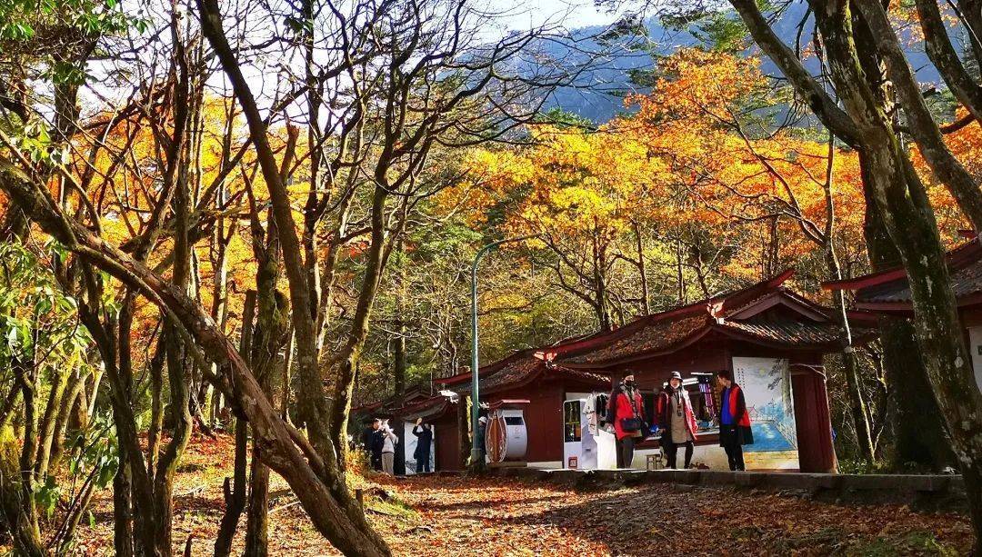 乐山_乐山旅游_乐山为什么叫乐山