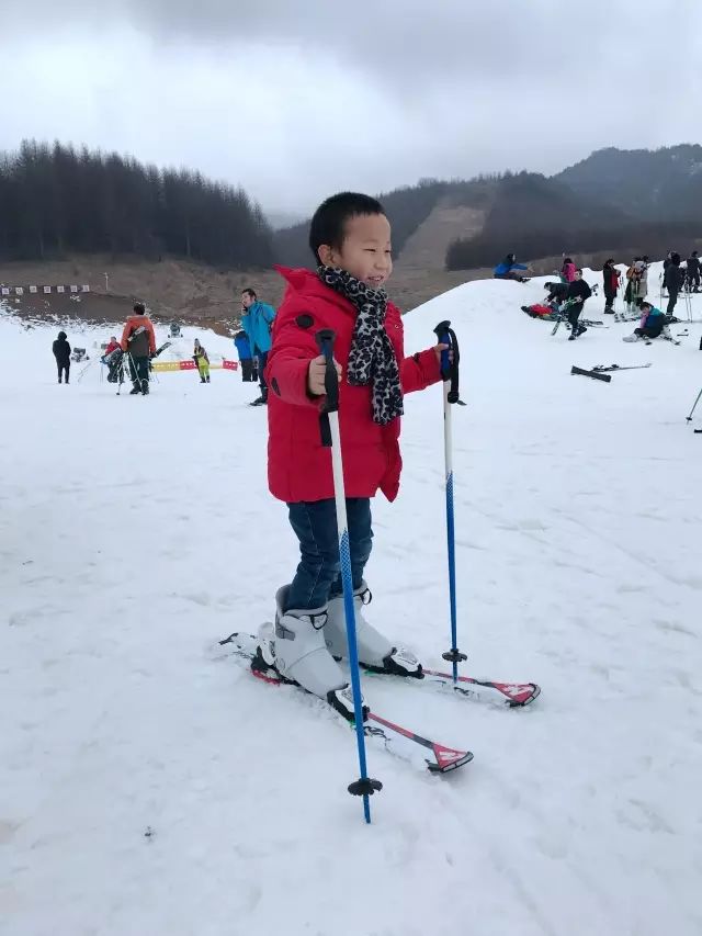 神农架三日游_神农架旅游需要几天_神农架