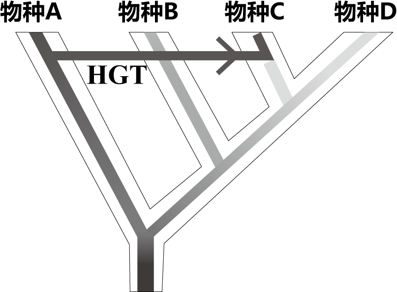 研究发现：_研究发现：_研究发现：