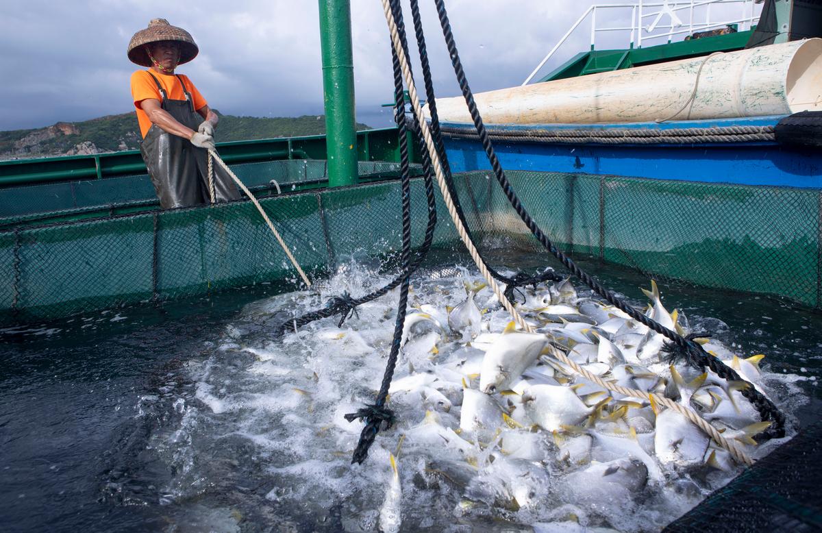 珠海九龙医院_珠海_珠海天气