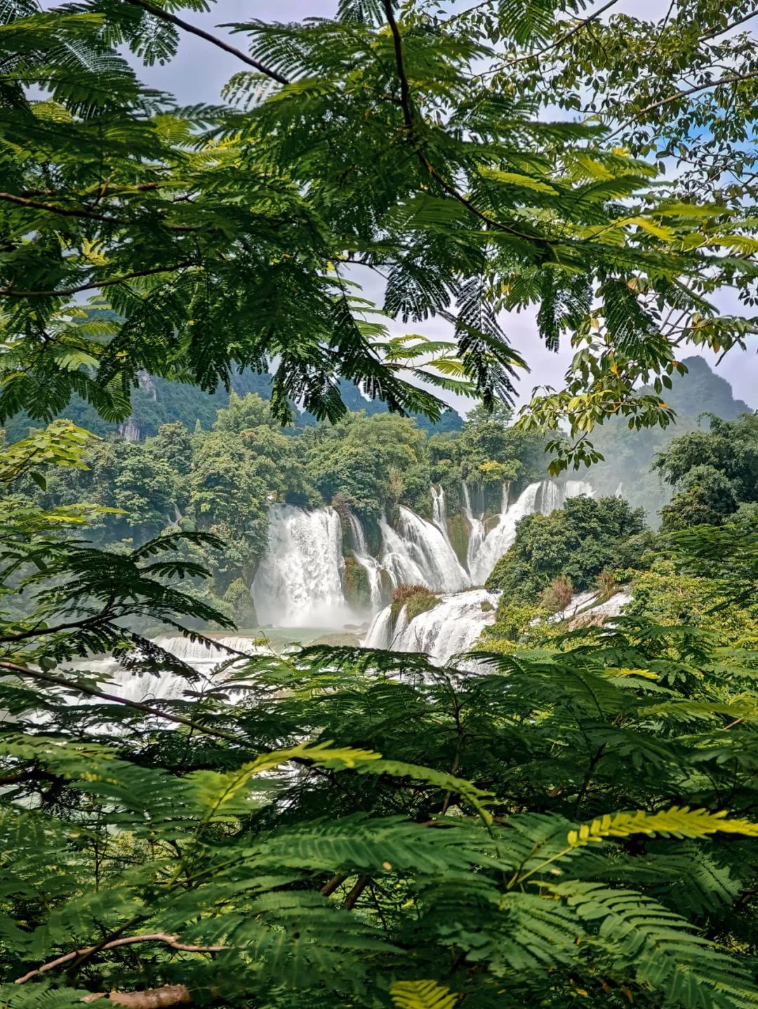 神农架景区地图_神农架在哪个城市_神农架